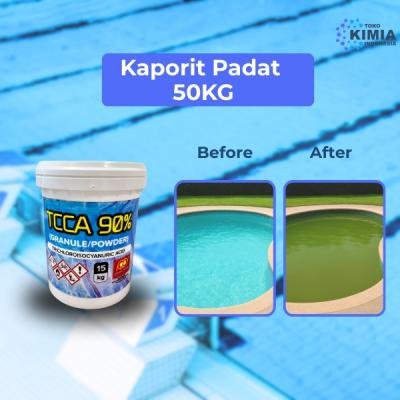 Kaporit Padat 50Kg